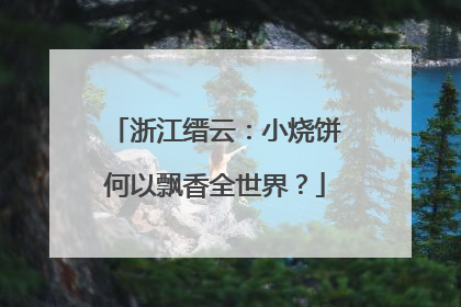 浙江缙云：小烧饼何以飘香全世界？